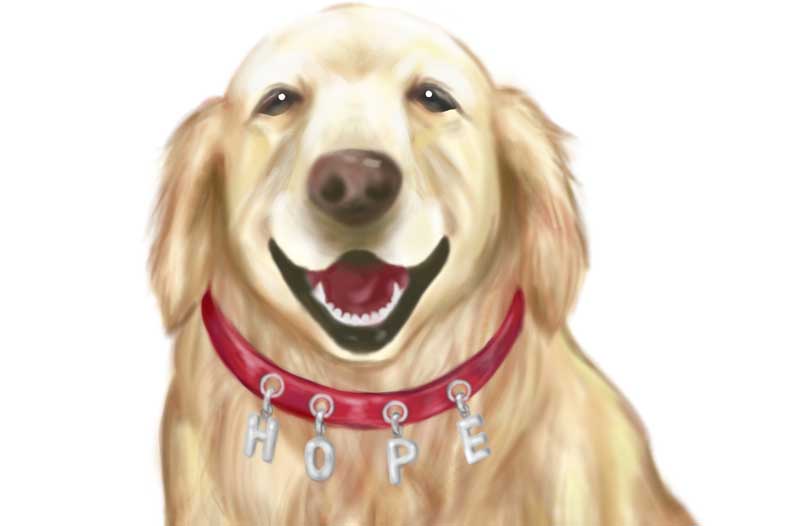 いま高校生に伝えたい命の授業